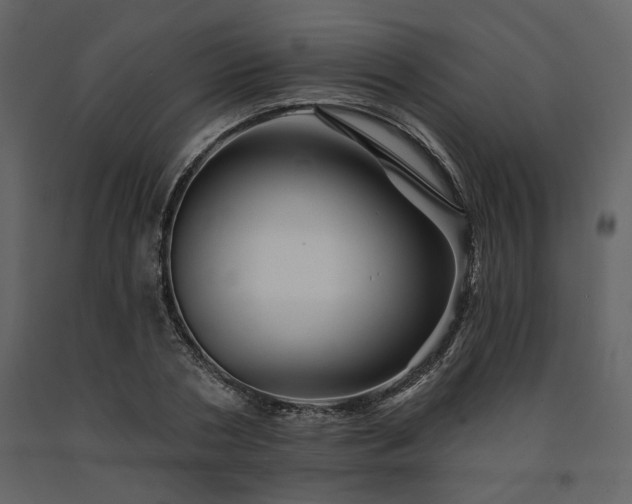 X0000091670786200708231328