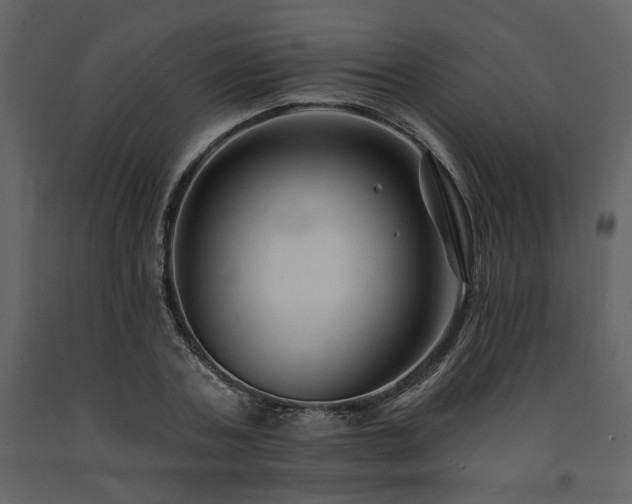 X0000091670787200708231328