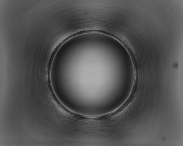 X0000091670789200708231328