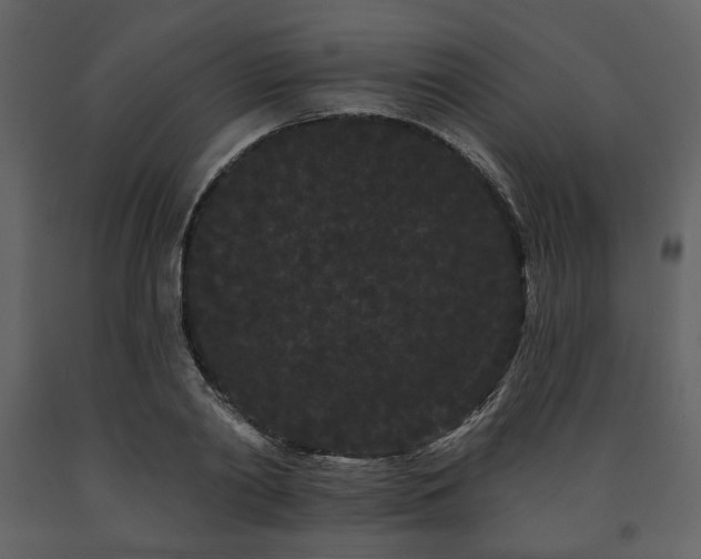 X0000091670790200708231328