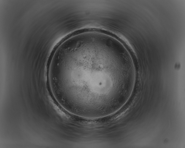 X0000091670791200708231328