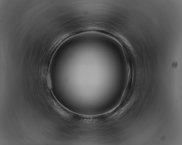 X0000091670793200708231328
