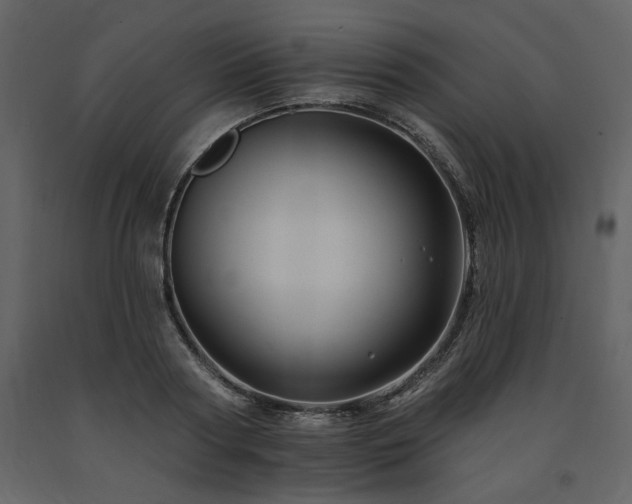 X0000091670794200708231328