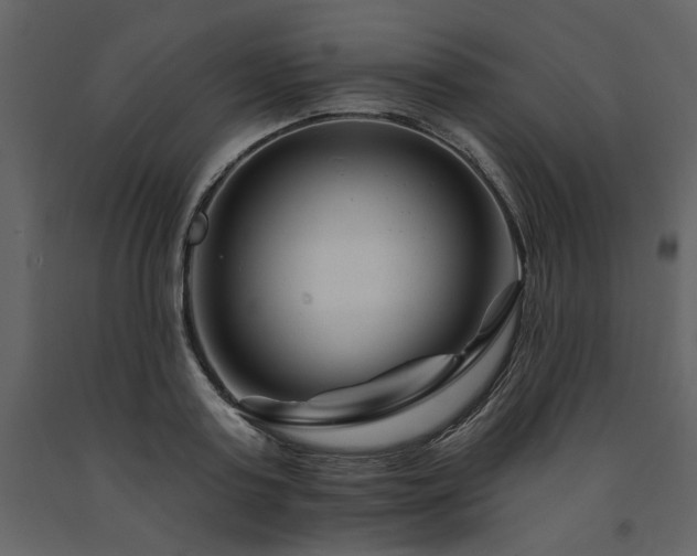 X0000091670795200708231328