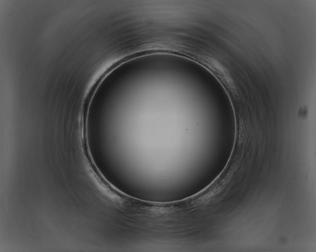 X0000091670796200708231328