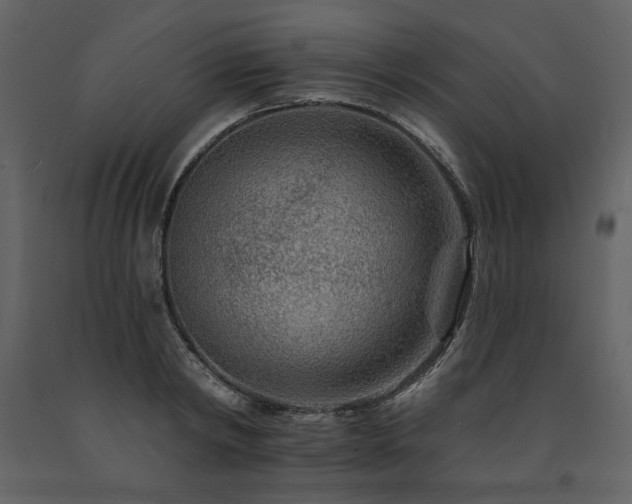 X0000091670798200708231328