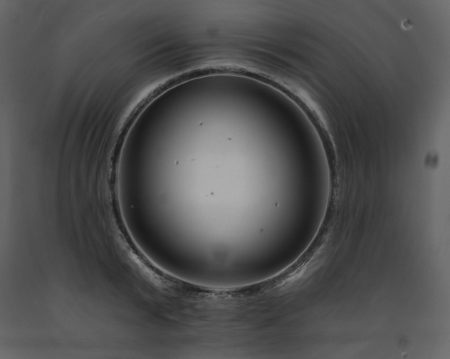 X0000091670799200708231328