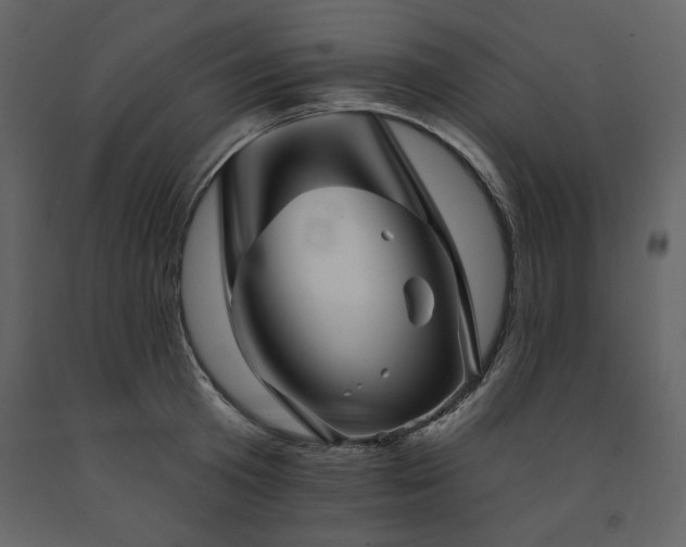 X0000091670801200708231328