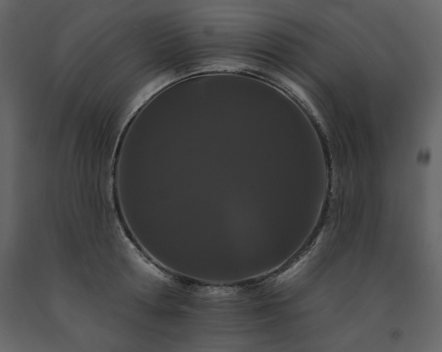 X0000091670802200708231328