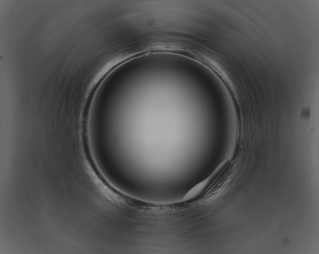 X0000091670803200708231328