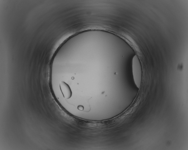X0000091670804200708231328