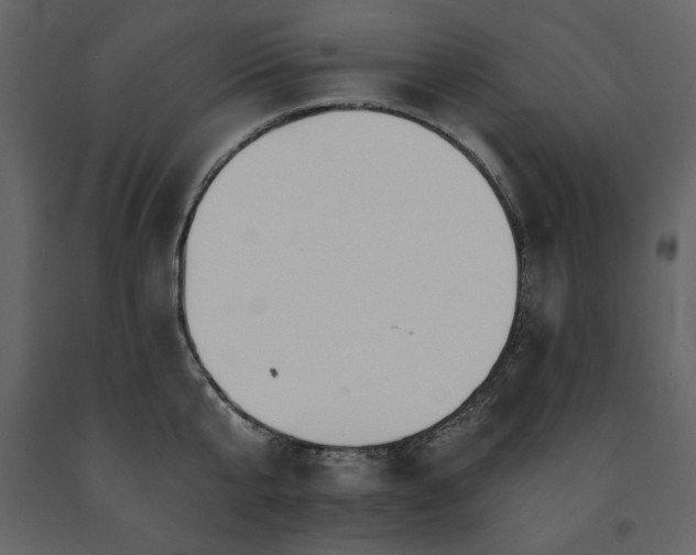 X0000091670807200708231328