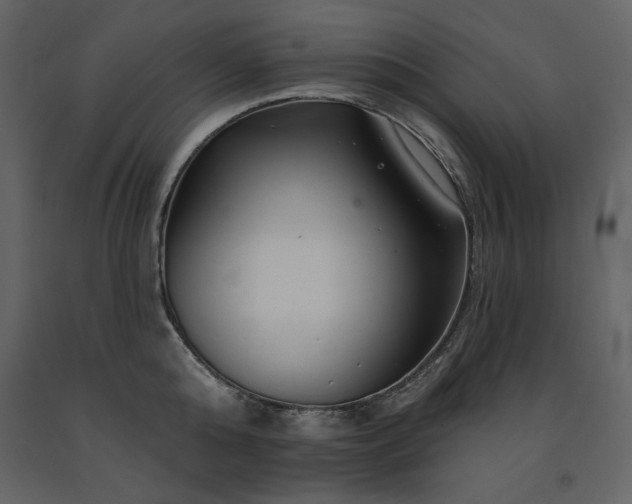 X0000091670808200708231328