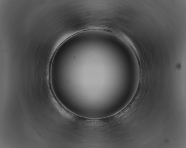 X0000091670811200708231328