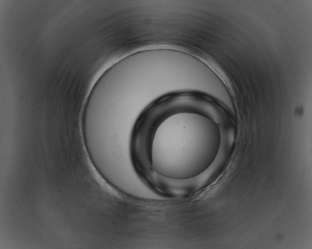 X0000091670813200708231327