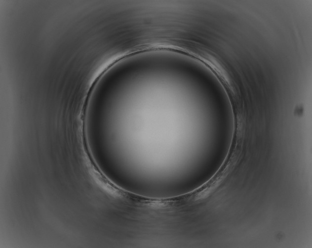 X0000091670814200708231327