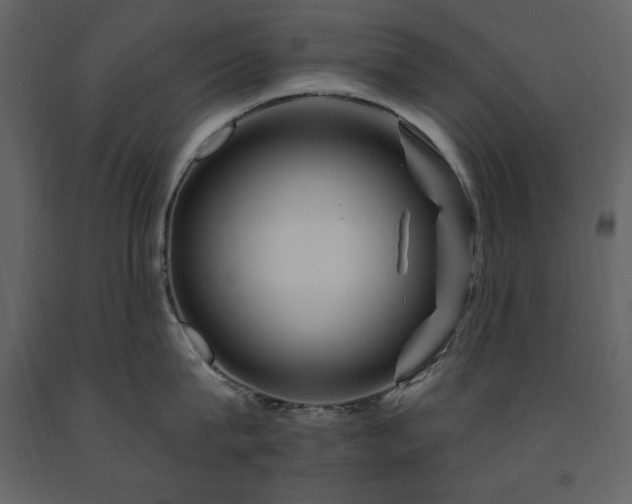 X0000091670815200708231327