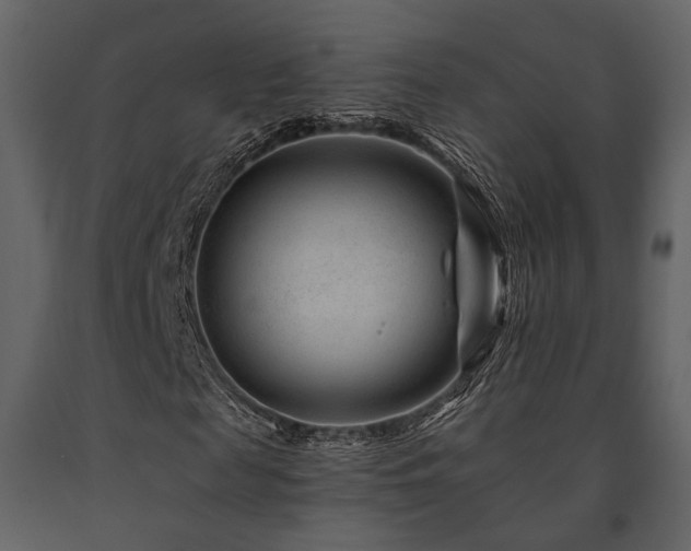 X0000091670817200708231327
