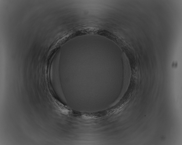 X0000091670818200708231327