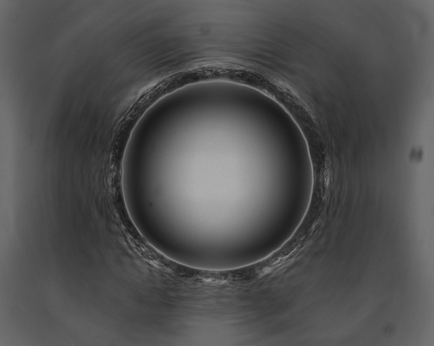 X0000091670822200708231327