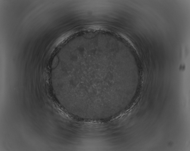 X0000091670823200708231327