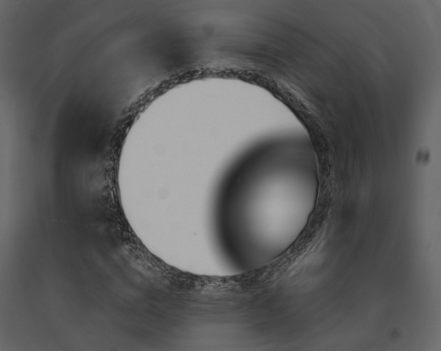 X0000091670824200708231327
