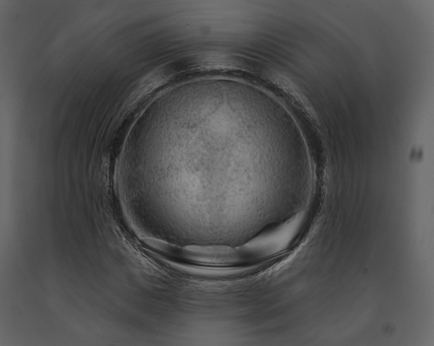 X0000091670825200708231327