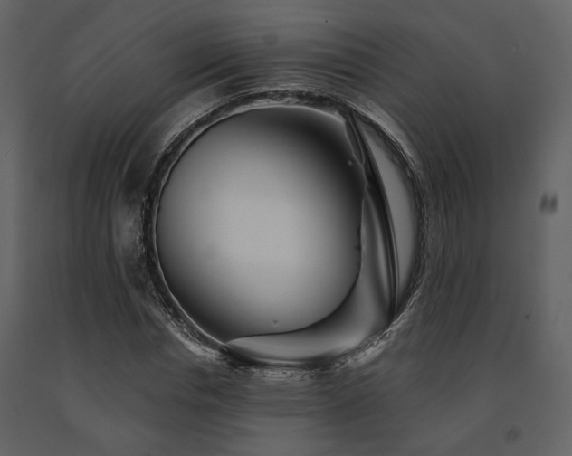 X0000091670826200708231327