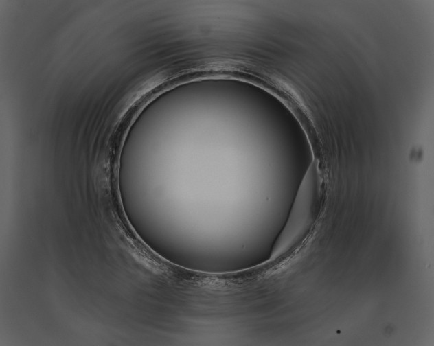 X0000091670827200708231327