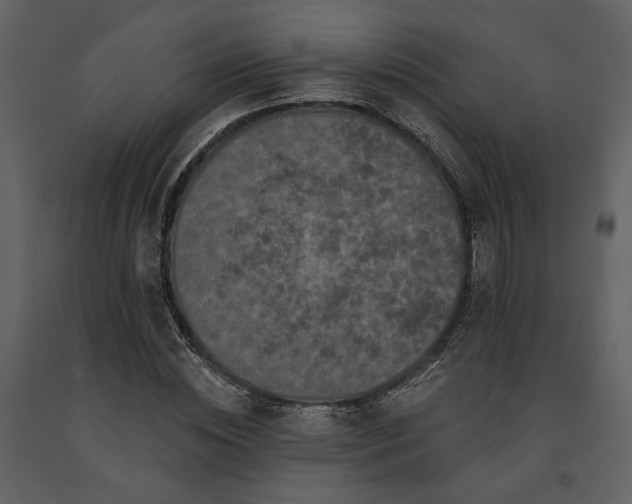 X0000091670828200708231327