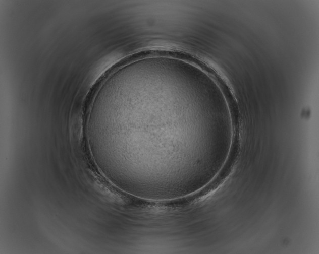 X0000091670829200708231327