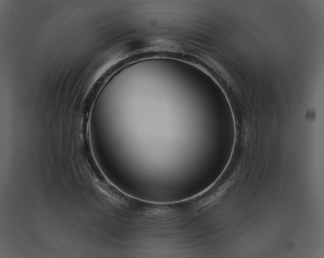 X0000091670830200708231327