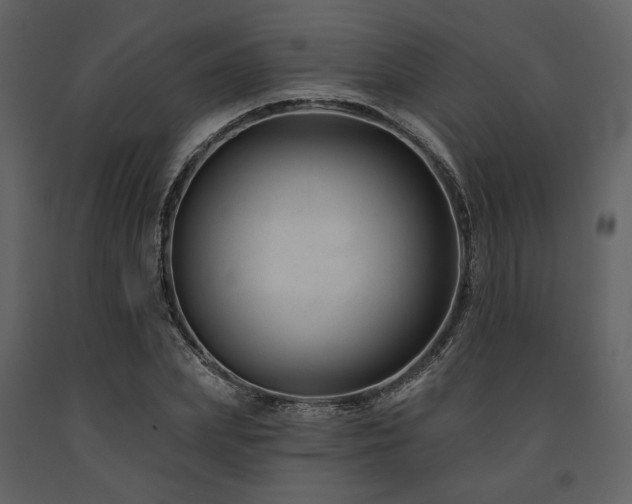 X0000091670831200708231327