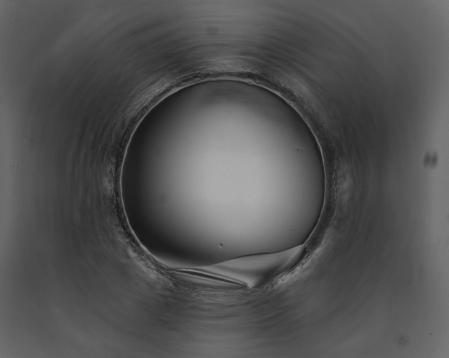 X0000091670833200708231327