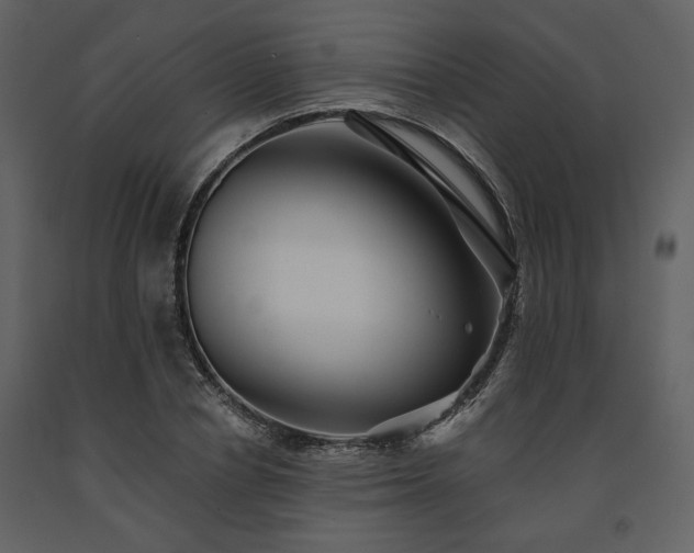 X0000091670834200708231327