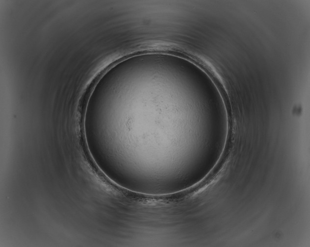 X0000091670835200708231327