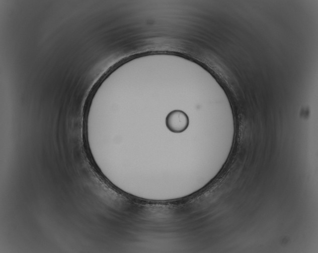 X0000091670836200708231327