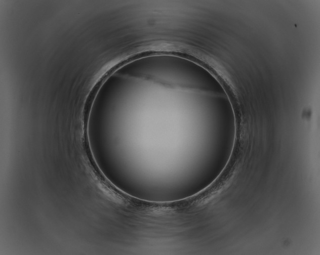 X0000091670837200708231327