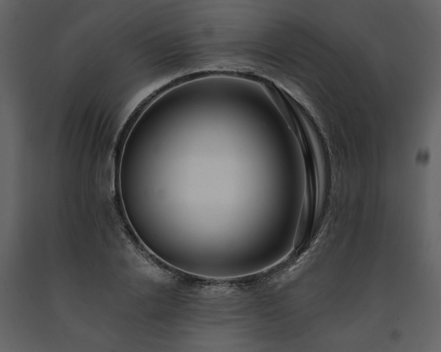 X0000091670838200708231327