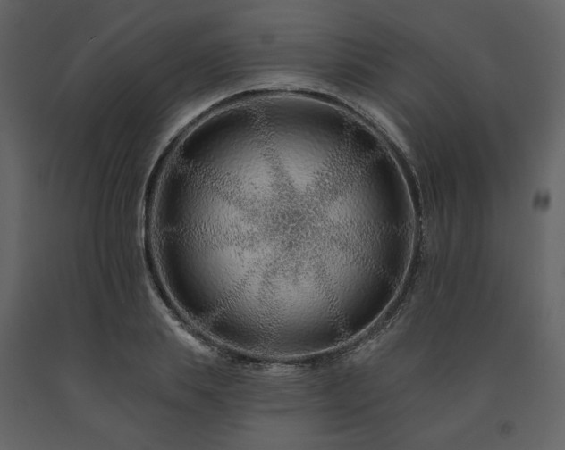 X0000091670839200708231327