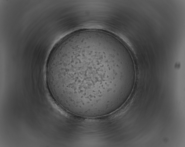 X0000091670840200708231327
