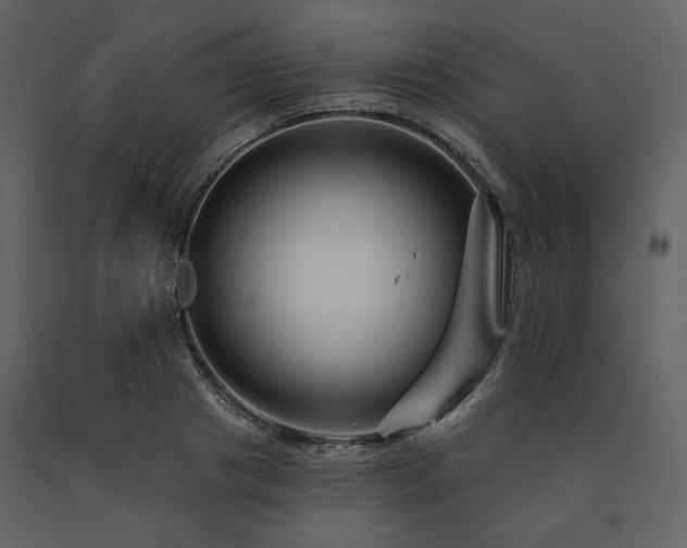 X0000091670841200708231327