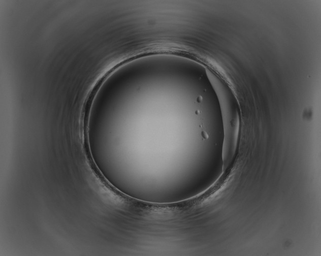 X0000091670843200708231327