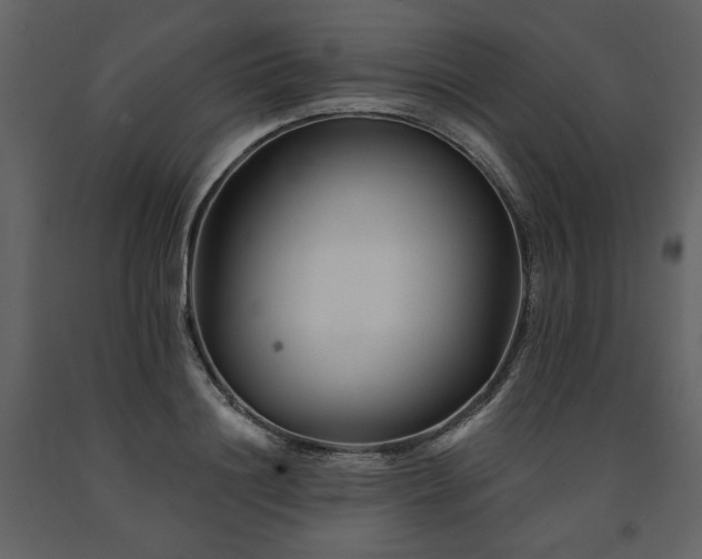 X0000091670844200708231327