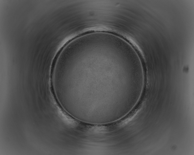 X0000091670845200708231327