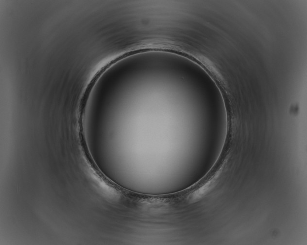 X0000091670846200708231327