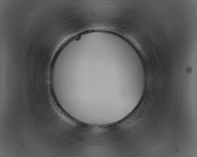 X0000091670848200708231327