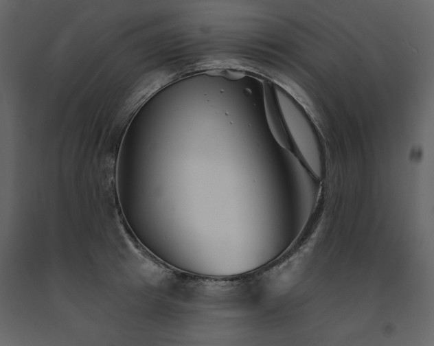 X0000091670849200708231327