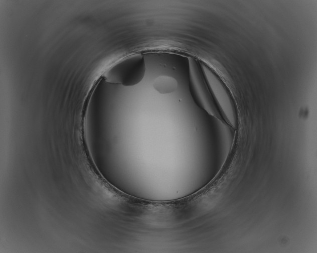 X0000091670850200708231327