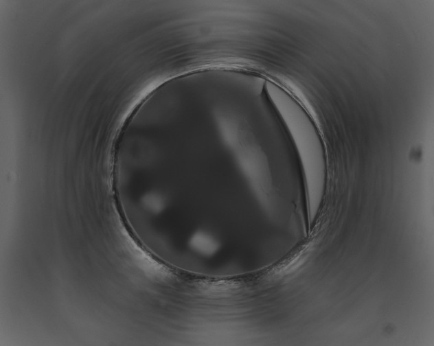 X0000091670851200708231327